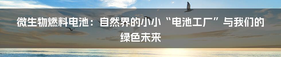 微生物燃料电池：自然界的小小“电池工厂”与我们的绿色未来
