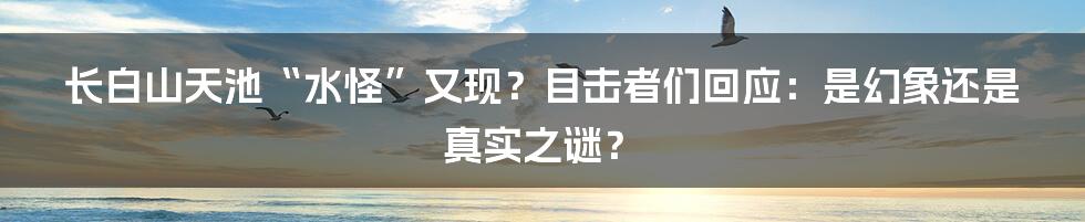 长白山天池“水怪”又现？目击者们回应：是幻象还是真实之谜？