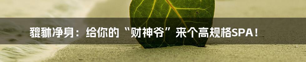 貔貅净身：给你的“财神爷”来个高规格SPA！