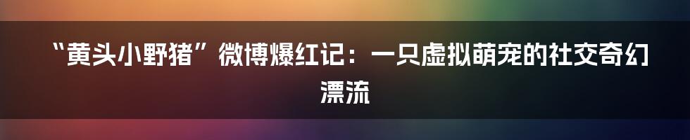 “黄头小野猪”微博爆红记:一只虚拟萌宠的社交奇幻漂流
