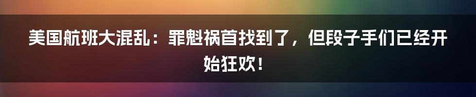 美国航班大混乱:罪魁祸首找到了,但段子手们已经开始狂欢!