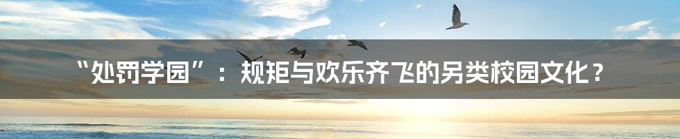 “处罚学园”:规矩与欢乐齐飞的另类校园文化?