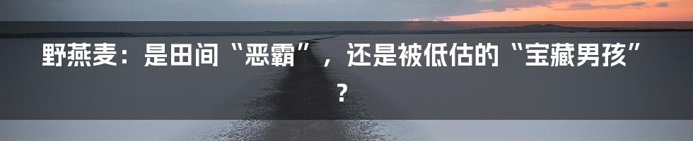 野燕麦：是田间“恶霸”，还是被低估的“宝藏男孩”？
