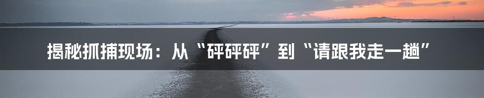 揭秘抓捕现场：从“砰砰砰”到“请跟我走一趟”