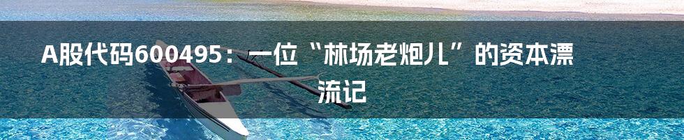 A股代码600495：一位“林场老炮儿”的资本漂流记