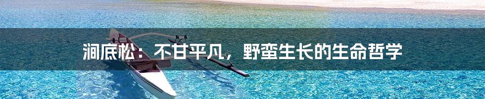 涧底松：不甘平凡，野蛮生长的生命哲学