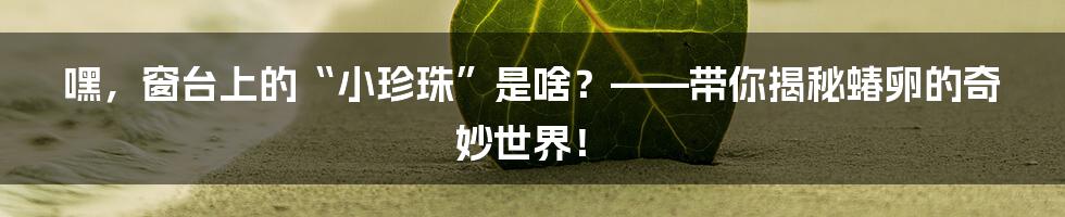 嘿，窗台上的“小珍珠”是啥？——带你揭秘蝽卵的奇妙世界！