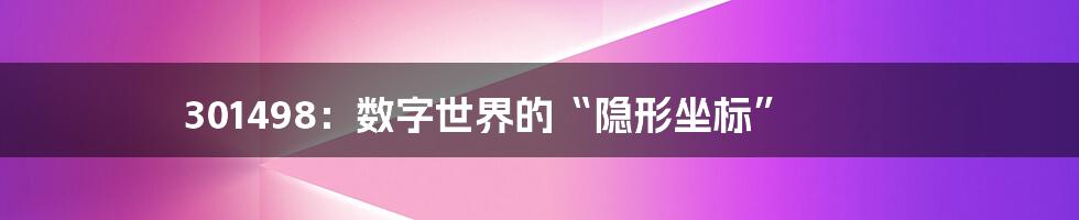 301498：数字世界的“隐形坐标”