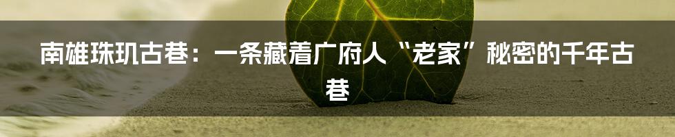 南雄珠玑古巷：一条藏着广府人“老家”秘密的千年古巷