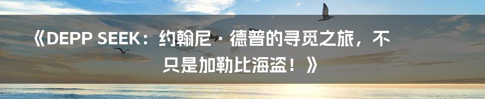 《DEPP SEEK:约翰尼·德普的寻觅之旅,不只是加勒比海盗!》