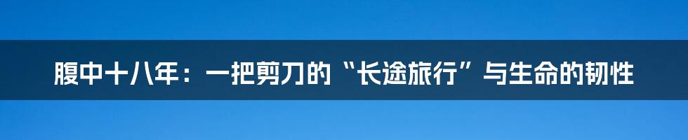 腹中十八年：一把剪刀的“长途旅行”与生命的韧性