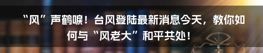 “风”声鹤唳！台风登陆最新消息今天，教你如何与“风老大”和平共处！