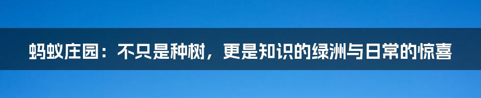 蚂蚁庄园：不只是种树，更是知识的绿洲与日常的惊喜