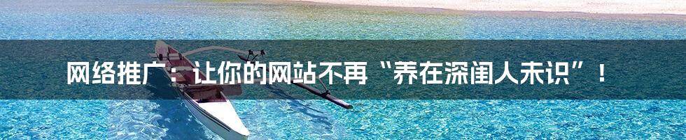 网络推广：让你的网站不再“养在深闺人未识”！