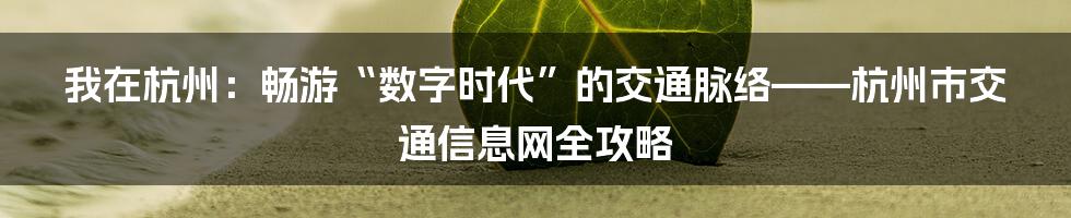 我在杭州：畅游“数字时代”的交通脉络——杭州市交通信息网全攻略