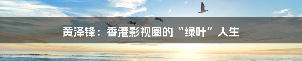 黄泽锋：香港影视圈的“绿叶”人生