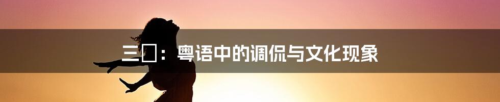 三洨：粤语中的调侃与文化现象