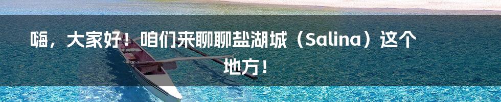 嗨，大家好！咱们来聊聊盐湖城（Salina）这个地方！
