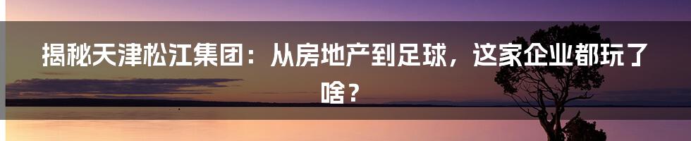 揭秘天津松江集团:从房地产到足球,这家企业都玩了啥?