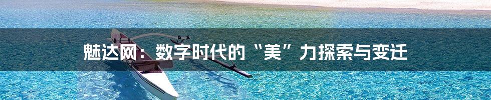 魅达网：数字时代的“美”力探索与变迁