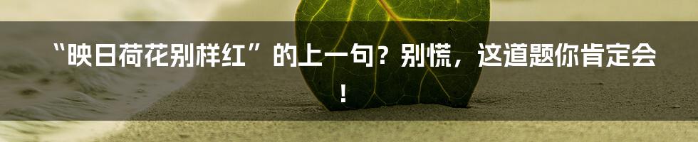 “映日荷花别样红”的上一句？别慌，这道题你肯定会！