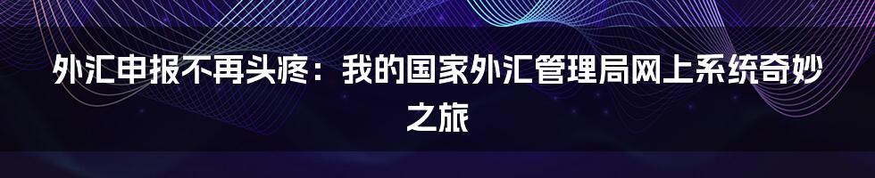 外汇申报不再头疼：我的国家外汇管理局网上系统奇妙之旅