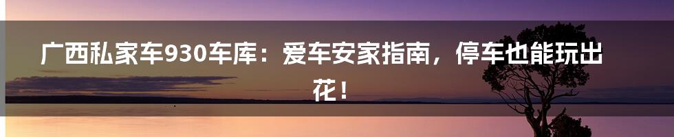 广西私家车930车库：爱车安家指南，停车也能玩出花！