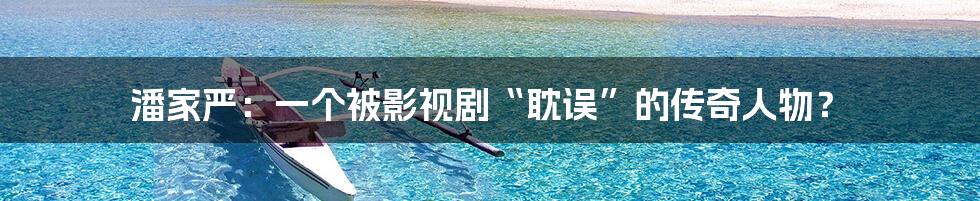 潘家严:一个被影视剧“耽误”的传奇人物?
