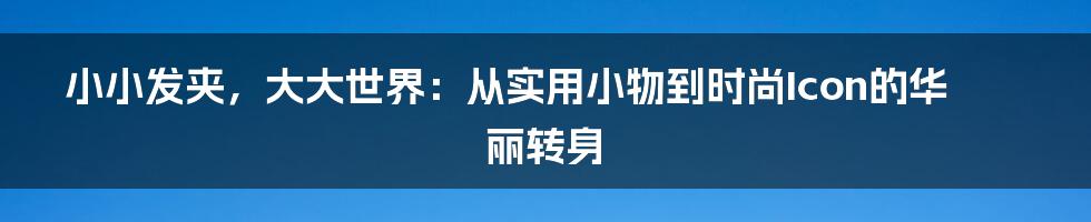 小小发夹，大大世界：从实用小物到时尚Icon的华丽转身