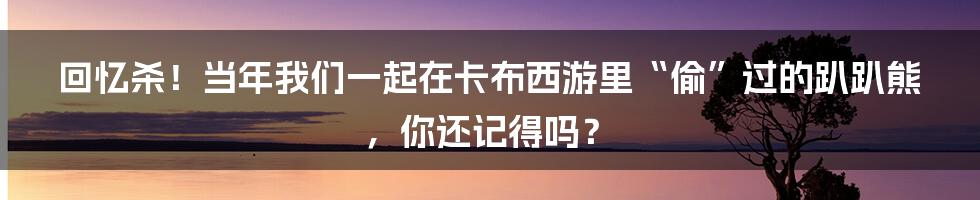 回忆杀！当年我们一起在卡布西游里“偷”过的趴趴熊，你还记得吗？