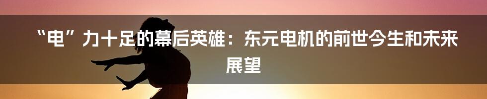 “电”力十足的幕后英雄：东元电机的前世今生和未来展望