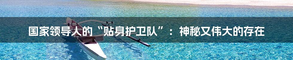 国家领导人的“贴身护卫队”:神秘又伟大的存在