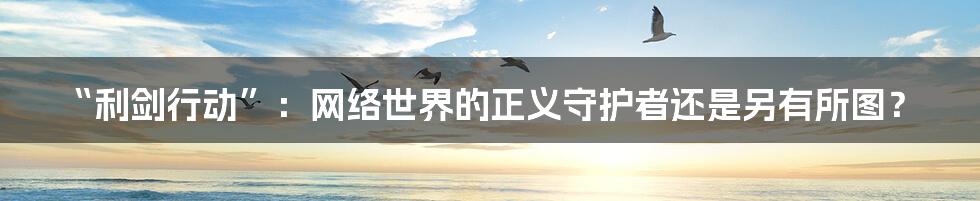 “利剑行动”：网络世界的正义守护者还是另有所图？
