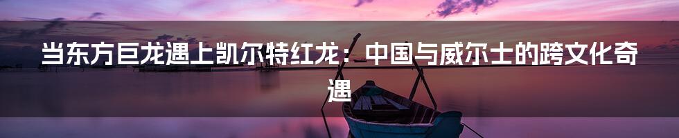 当东方巨龙遇上凯尔特红龙：中国与威尔士的跨文化奇遇