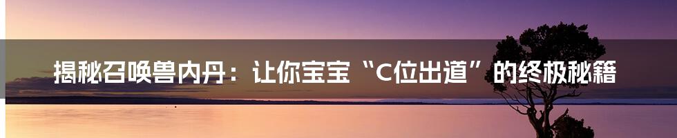 揭秘召唤兽内丹：让你宝宝“C位出道”的终极秘籍