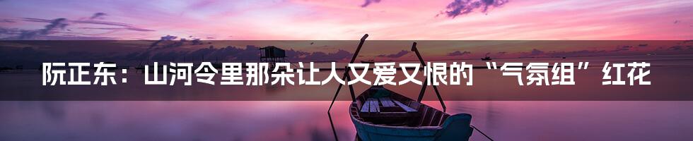 阮正东：山河令里那朵让人又爱又恨的“气氛组”红花