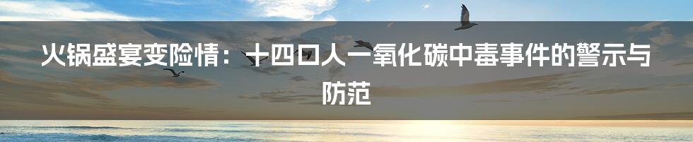 火锅盛宴变险情：十四口人一氧化碳中毒事件的警示与防范
