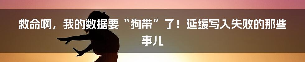 救命啊，我的数据要“狗带”了！延缓写入失败的那些事儿