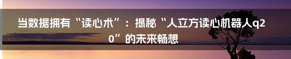 当数据拥有“读心术”：揭秘“人立方读心机器人q20”的未来畅想