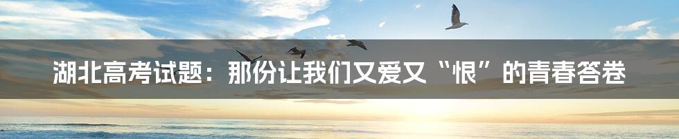 湖北高考试题：那份让我们又爱又“恨”的青春答卷
