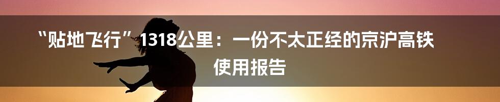“贴地飞行”1318公里：一份不太正经的京沪高铁使用报告