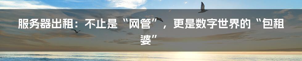 服务器出租：不止是“网管”，更是数字世界的“包租婆”