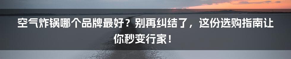 空气炸锅哪个品牌最好？别再纠结了，这份选购指南让你秒变行家！