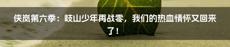 侠岚第六季:岐山少年再战零,我们的热血情怀又回来了!