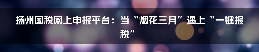 扬州国税网上申报平台：当“烟花三月”遇上“一键报税”