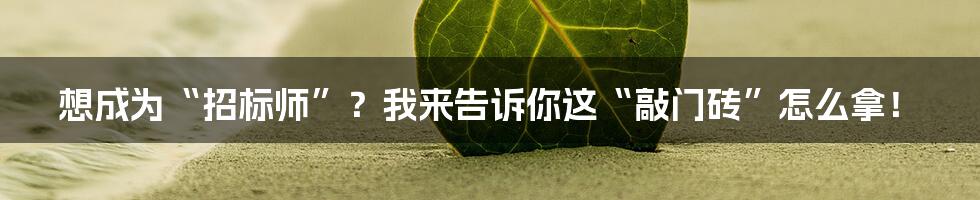 想成为“招标师”？我来告诉你这“敲门砖”怎么拿！