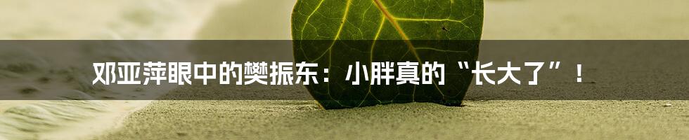 邓亚萍眼中的樊振东：小胖真的“长大了”！