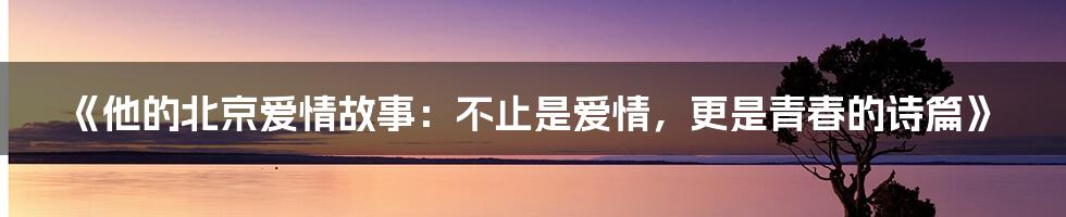 《他的北京爱情故事:不止是爱情,更是青春的诗篇》