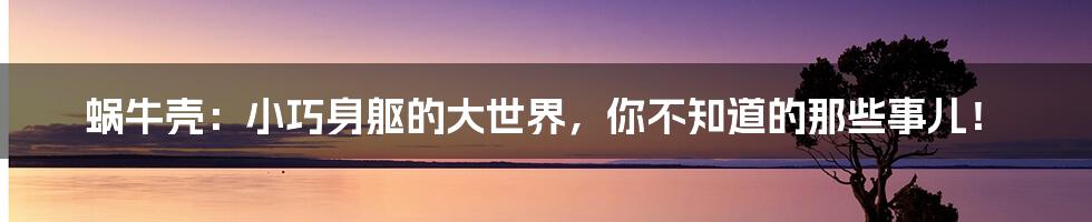 蜗牛壳:小巧身躯的大世界,你不知道的那些事儿!