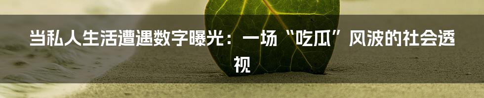 当私人生活遭遇数字曝光：一场“吃瓜”风波的社会透视